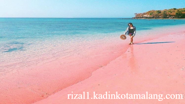 Eksplorasi Keindahan 7 Wisata Bahari di Nusa Tenggara Timur