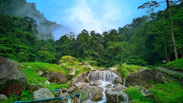 Panorama Pamah: Surga Alam Tersembunyi di Langkat