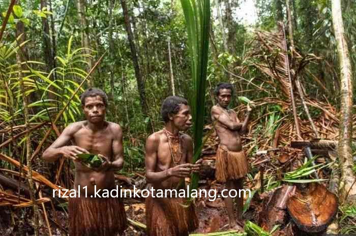 Suku Korowai: Hidup di Rumah Pohon